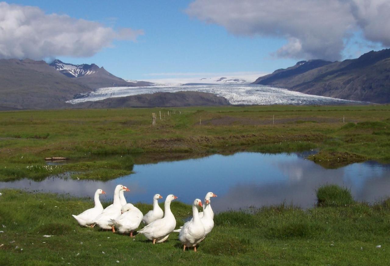 Lambhus Glacier View Cabins Höfn Exterior foto